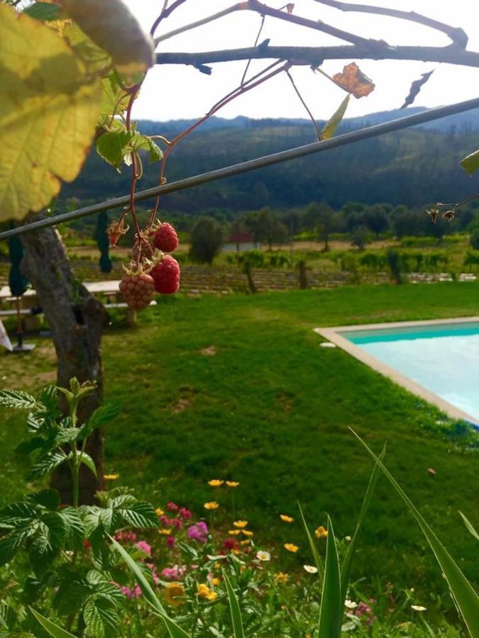 Vila Quinta Da Aranha Arcos de Valdevez Exteriér fotografie